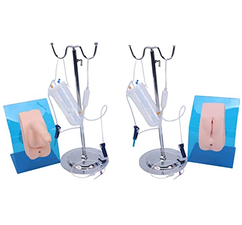 Männliches und weibliches Katheterisierungsmodell, Harnröhrenkatheterisierung, medizinisches Gesundheitsmodell, Manikin- von Generic