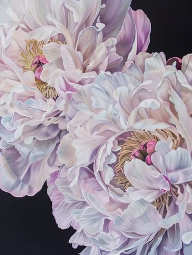 Malen Nach Zahlen Blume, Malen Nach Zahlen Erwachsene Pflanze, DIY Paint by Numbers Kits Mit Pinseln und Acrylfarbe, DIY Basteln Erwachsene Handgemalt Ölgemälde, für Zimmer Deko 90x120cm 5-6127 Malen Nach Zahlen Blume, Malen Nach Zahlen Erwachsene Pflanze, DIY Paint by Numbers Kits Mit Pinseln und Acrylfarbe, DIY Basteln Erwachsene Handgemalt Ölgemälde, für Zimmer Deko 90x120cm 5-6127 von Generic