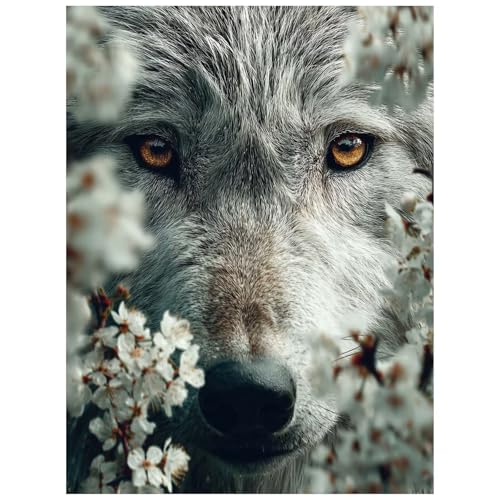 Malen Nach Zahlen Erwachsene, Malen Nach Zahlen Blume Leinwand Bilder Basteln Erwachsene Wolf mit Farbe Leinwand zum Bemalen 70 x 95CM, Paint by Numbers als WandDeko wohnzimmer Geschenke 8YH-5319 von Generic