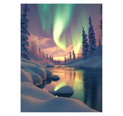 Malen Nach Zahlen Erwachsene Aurora DIY Set Erwachsene mit Leinwand zum Bemalen Schneeszene 50x70cm 36 Farben Acrylfarben Set Pinsel, Malen Nach Zahlen Kinder, Deko Wohnzimmer Geschenke YH2-3777 von Generic