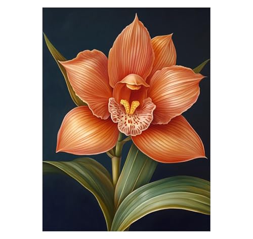 Malen Nach Zahlen Erwachsene Blume DIY Set Erwachsene mit Leinwand zum Bemalen Pflanzen 40 x 30 cm 36 Farben Acrylfarben Set Pinsel, Malen Nach Zahlen Kinder, Zimmer Deko Geschenke für Frauen YH2-1149 Malen Nach Zahlen Erwachsene Blume DIY Set Erwachsene mit Leinwand zum Bemalen Pflanzen 40 x 30 cm 36 Farben Acrylfarben Set Pinsel, Malen Nach Zahlen Kinder, Zimmer Deko Geschenke für Frauen YH2-1149 von Generic