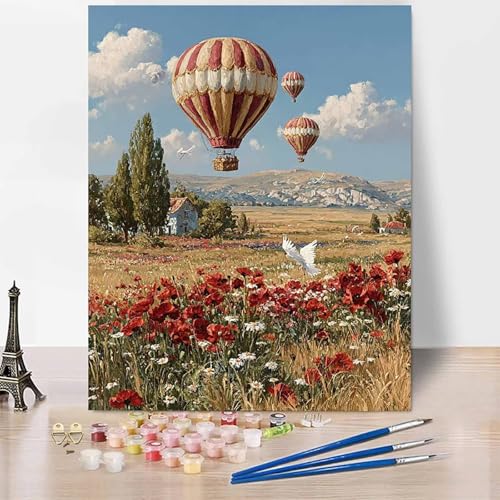 Malen Nach Zahlen Erwachsene Blumen Malen Nach Zahlen HeißLuftballon, DIY Set Erwachsene Mit 3 - Pinseln und Acrylfarbe, Handgemalt Ölgemälde für Frauen, Deko Wohnzimmer 40x60cm Ohne Rahmen -XY239 von Generic