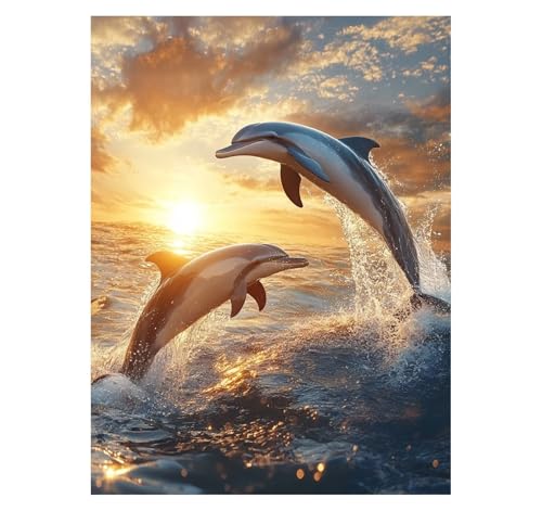 Malen Nach Zahlen Erwachsene Delphin DIY Set Erwachsene mit Leinwand zum Bemalen Tier 70x95 cm 36 Farben Acrylfarben Set Pinsel, Malen Nach Zahlen Kinder für Zimmer Deko Geschenke für Frauen YH2-1137 Malen Nach Zahlen Erwachsene Delphin DIY Set Erwachsene mit Leinwand zum Bemalen Tier 70x95 cm 36 Farben Acrylfarben Set Pinsel, Malen Nach Zahlen Kinder für Zimmer Deko Geschenke für Frauen YH2-1137 von Generic