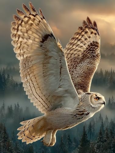 Malen Nach Zahlen Erwachsene Eagle, DIY Basteln Erwachsene Leinwand Kit für Wanddeko, Baum Malen Nach Zahlen Mit Pinseln und Acrylfarbe, DIY Paint by Numbers, Geschenke für Frauen, 40x50cm M-5927 Malen Nach Zahlen Erwachsene Eagle, DIY Basteln Erwachsene Leinwand Kit für Wanddeko, Baum Malen Nach Zahlen Mit Pinseln und Acrylfarbe, DIY Paint by Numbers, Geschenke für Frauen, 40x50cm M-5927 von Generic