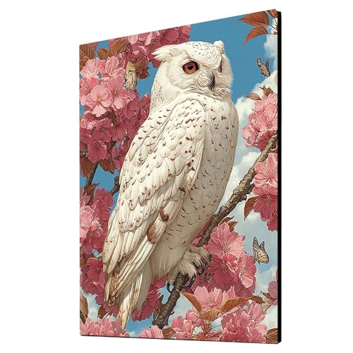 Malen Nach Zahlen Erwachsene Eule DIY Set Erwachsene mit Leinwand zum Bemalen Blume 135 x 100 CM 36 Farben Acrylfarben Set und Pinsel, Malen Nach Zahlen Kinder für Deko Wohnzimmer Geschenke 2YH-3230 Malen Nach Zahlen Erwachsene Eule DIY Set Erwachsene mit Leinwand zum Bemalen Blume 135 x 100 CM 36 Farben Acrylfarben Set und Pinsel, Malen Nach Zahlen Kinder für Deko Wohnzimmer Geschenke 2YH-3230 von Generic