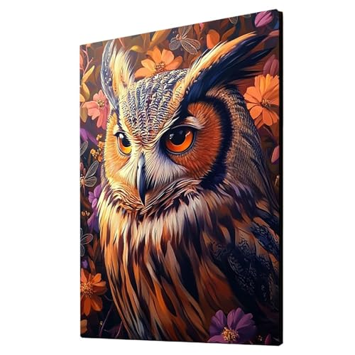 Malen Nach Zahlen Erwachsene Eule DIY Set Erwachsene mit Leinwand zum Bemalen Libelle 80x110cm 36 Farben Acrylfarben Set und Pinsel, Malen Nach Zahlen Kinder für Deko Wohnzimmer Geschenke 2YH-4708 von Generic