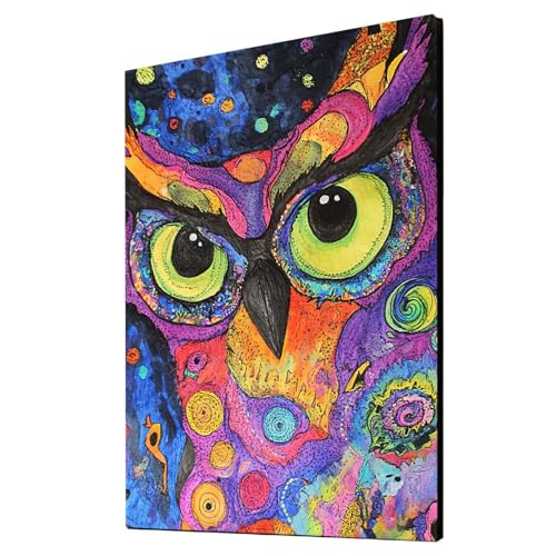 Malen Nach Zahlen Erwachsene Eule DIY Set Erwachsene mit Leinwand zum Bemalen Tier 40 x 30 cm 36 Farben Acrylfarben Set und Pinsel, Malen Nach Zahlen Kinder für Deko Wohnzimmer Geschenke 2YH-2042 von Generic