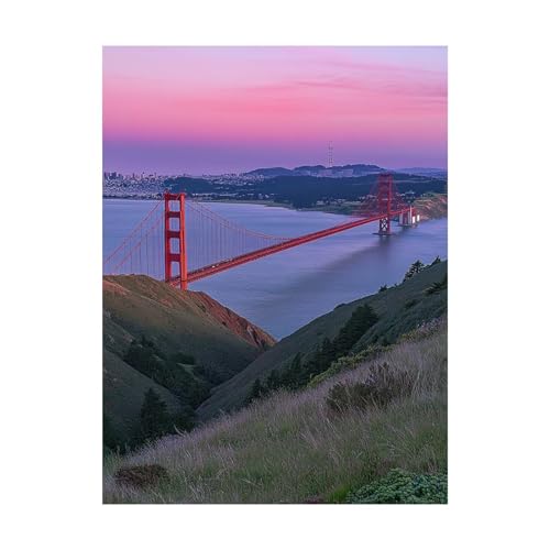 Malen Nach Zahlen Erwachsene Golden Gate Bridge DIY Set Erwachsene mit Leinwand zum Bemalen Landschaft 30x40cm 36 Farben Acrylfarben Set und Pinsel, Malen Nach Zahlen Kinder für Zimmer Deko 2YH-10868 von Generic