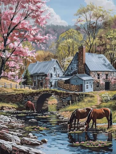 Malen Nach Zahlen Erwachsene HäUser Malen Nach Zahlen Horse, Painting by Numbers, DIY Basteln Erwachsene Handgemalt Ölgemälde Set Mit Pinseln und Acrylfarbe für Zimmer Deko Geschenke 60x80cm V-8527 von Generic