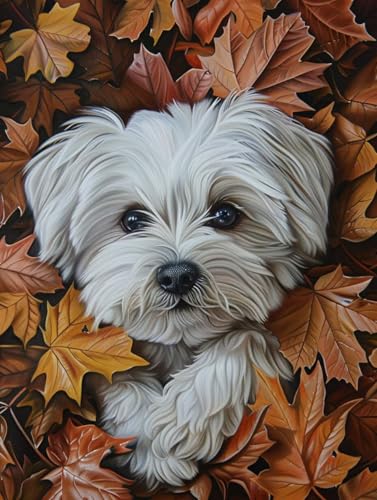 Malen Nach Zahlen Erwachsene Hund Malen Nach Zahlen Ahornblatt, Painting by Numbers, DIY Basteln Erwachsene Handgemalt Ölgemälde Set Mit Pinseln und Acrylfarbe für Zimmer Deko Geschenke 50x65cm F-3927 Malen Nach Zahlen Erwachsene Hund Malen Nach Zahlen Ahornblatt, Painting by Numbers, DIY Basteln Erwachsene Handgemalt Ölgemälde Set Mit Pinseln und Acrylfarbe für Zimmer Deko Geschenke 50x65cm F-3927 von Generic