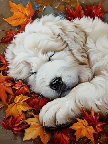 Malen Nach Zahlen Erwachsene Hund Malen Nach Zahlen Ahornblatt, Painting by Numbers, DIY Basteln Erwachsene Handgemalt Ölgemälde Set Mit Pinseln und Acrylfarbe für Zimmer Deko Geschenke 60x70cm 6-5250 Malen Nach Zahlen Erwachsene Hund Malen Nach Zahlen Ahornblatt, Painting by Numbers, DIY Basteln Erwachsene Handgemalt Ölgemälde Set Mit Pinseln und Acrylfarbe für Zimmer Deko Geschenke 60x70cm 6-5250 von Generic