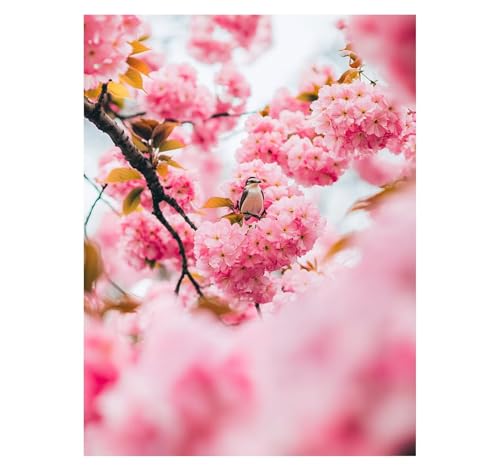 Malen Nach Zahlen Erwachsene Kirschblüten DIY Set Erwachsene mit Leinwand zum Bemalen Vogel 100x135cm 36 Farben Acrylfarben Set Pinsel, Malen Nach Zahlen Kinder, Deko Wohnzimmer Geschenke YH2-3718 Malen Nach Zahlen Erwachsene Kirschblüten DIY Set Erwachsene mit Leinwand zum Bemalen Vogel 100x135cm 36 Farben Acrylfarben Set Pinsel, Malen Nach Zahlen Kinder, Deko Wohnzimmer Geschenke YH2-3718 von Generic