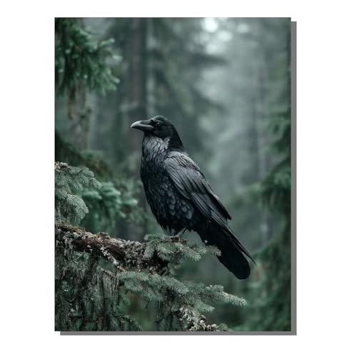 Malen Nach Zahlen Erwachsene Krähe, Groß DIY Malen Nach Zahlen Mit Rahmen Vogel, Anfänger Bastelset, Pinsel und 36 Acrylfarbe, Paint by Numbers Basteln für Wand Dekor Geschenk 100x135cm ZBSDK69 von Generic