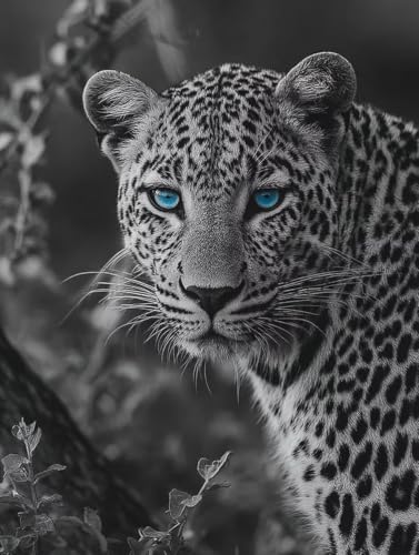 Malen Nach Zahlen Erwachsene Leopard, Malen Nach Zahlen Baum, DIY Basteln Erwachsene Leinwand Kits, DIY Paint by Numbers Adult Kits Mit Pinseln und Acrylfarbe, Geschenk für Wanddeko, 40x50cm 8-9500 von Generic