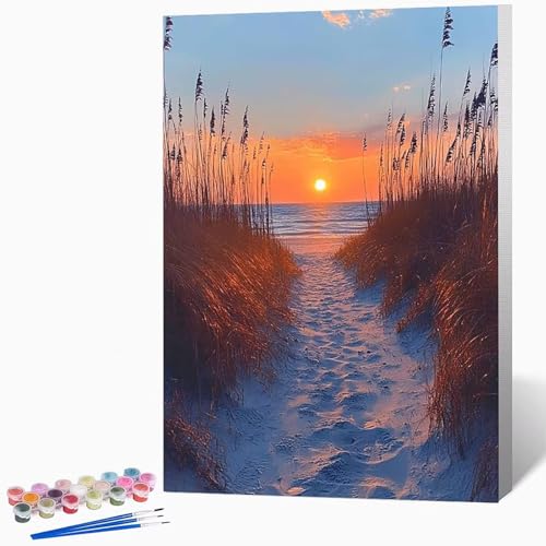 Malen Nach Zahlen Erwachsene Meer Malen Nach Zahlen Strand, Bastelset Erwachsene Mit 3-Pinseln Und Acrylfarbe, DIY Handgemalt öLgemäLde Kit FüR Geschenke, Zimmer Deko 50x65cm Ohne Rahmen -LKF0769M6 Malen Nach Zahlen Erwachsene Meer Malen Nach Zahlen Strand, Bastelset Erwachsene Mit 3-Pinseln Und Acrylfarbe, DIY Handgemalt öLgemäLde Kit FüR Geschenke, Zimmer Deko 50x65cm Ohne Rahmen -LKF0769M6 von Generic