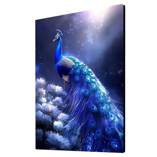 Malen Nach Zahlen Erwachsene Pfau DIY Set Erwachsene mit Leinwand zum Bemalen Tier 60x80 cm 36 Farben Acrylfarben Set und Pinsel, Malen Nach Zahlen Kinder für Deko Wohnzimmer Geschenke 2YH-6426 Malen Nach Zahlen Erwachsene Pfau DIY Set Erwachsene mit Leinwand zum Bemalen Tier 60x80 cm 36 Farben Acrylfarben Set und Pinsel, Malen Nach Zahlen Kinder für Deko Wohnzimmer Geschenke 2YH-6426 von Generic