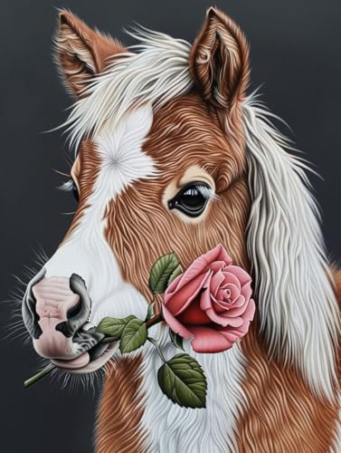 Malen Nach Zahlen Erwachsene Rose Malen Nach Zahlen Horse, Painting by Numbers, DIY Basteln Erwachsene Handgemalt Ölgemälde Set Mit Pinseln und Acrylfarbe für Zimmer Deko Geschenke 90x120cm 0-6991 Malen Nach Zahlen Erwachsene Rose Malen Nach Zahlen Horse, Painting by Numbers, DIY Basteln Erwachsene Handgemalt Ölgemälde Set Mit Pinseln und Acrylfarbe für Zimmer Deko Geschenke 90x120cm 0-6991 von Generic