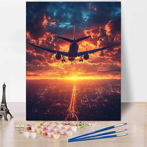 Malen Nach Zahlen Erwachsene Stadt Malen Nach Zahlen Flugzeug, DIY Set Erwachsene Mit 3 - Pinseln und Acrylfarbe, Handgemalt Ölgemälde für Frauen, Deko Wohnzimmer 70 x 95 cm Ohne Rahmen -XY899L2 von Generic