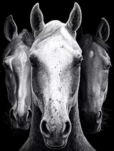 Malen Nach Zahlen Erwachsene Tier, Malen Nach Zahlen Horse, DIY Basteln Erwachsene Leinwand Kits, DIY Paint by Numbers Adult Kits Mit Pinseln und Acrylfarbe, Geschenk für Wanddeko, 100x135cm 0-7757 Malen Nach Zahlen Erwachsene Tier, Malen Nach Zahlen Horse, DIY Basteln Erwachsene Leinwand Kits, DIY Paint by Numbers Adult Kits Mit Pinseln und Acrylfarbe, Geschenk für Wanddeko, 100x135cm 0-7757 von Generic