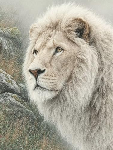 Malen Nach Zahlen Erwachsene Tier, Malen Nach Zahlen LöWe, DIY Basteln Erwachsene Leinwand Kits, DIY Paint by Numbers Adult Kits Mit Pinseln und Acrylfarbe, Geschenk für Wanddeko, 60x90cm V-8161 Malen Nach Zahlen Erwachsene Tier, Malen Nach Zahlen LöWe, DIY Basteln Erwachsene Leinwand Kits, DIY Paint by Numbers Adult Kits Mit Pinseln und Acrylfarbe, Geschenk für Wanddeko, 60x90cm V-8161 von Generic