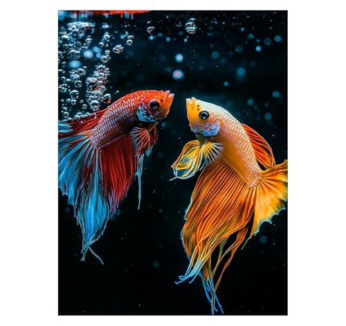 Malen Nach Zahlen Erwachsene Tier DIY Set Erwachsene mit Leinwand zum Bemalen Fisch 60x80cm 36 Farben Acrylfarben Set und Pinsel, Malen Nach Zahlen Kinder für Zimmer Deko Geschenke für Frauen YH2-1166 Malen Nach Zahlen Erwachsene Tier DIY Set Erwachsene mit Leinwand zum Bemalen Fisch 60x80cm 36 Farben Acrylfarben Set und Pinsel, Malen Nach Zahlen Kinder für Zimmer Deko Geschenke für Frauen YH2-1166 von Generic