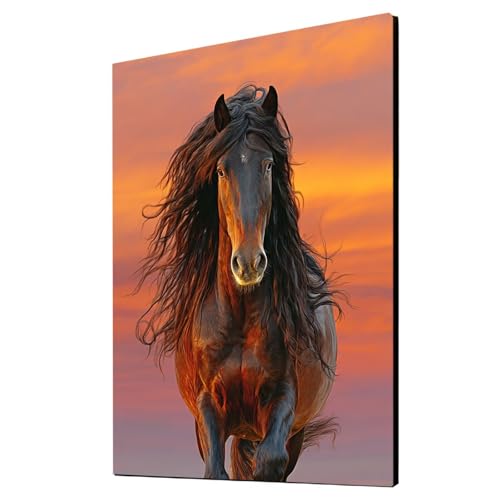 Malen Nach Zahlen Erwachsene Tier DIY Set Erwachsene mit Leinwand zum Bemalen Horse 95x70cm 36 Farben Acrylfarben Set und Pinsel, Malen Nach Zahlen Kinder für Deko Wohnzimmer Geschenke 2YH-7087 Malen Nach Zahlen Erwachsene Tier DIY Set Erwachsene mit Leinwand zum Bemalen Horse 95x70cm 36 Farben Acrylfarben Set und Pinsel, Malen Nach Zahlen Kinder für Deko Wohnzimmer Geschenke 2YH-7087 von Generic