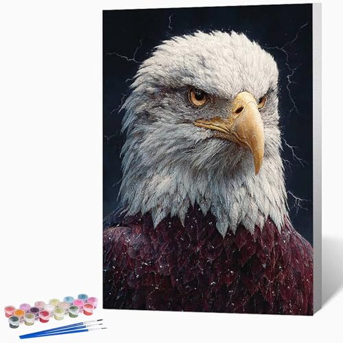 Malen Nach Zahlen Erwachsene Tier Malen Nach Zahlen Adler, Bastelset Erwachsene Mit 3-Pinseln Und Acrylfarbe, DIY Handgemalt öLgemäLde Kit FüR Geschenke, Zimmer Deko 40×60cm Ohne Rahmen -LKF0786O6 von Generic