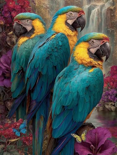 Malen Nach Zahlen Erwachsene Vogel, DIY Malen Nach Zahlen Kits Schmetterling, DIY Basteln Erwachsene Paint by Numbers Kits Mit Pinseln und Acrylfarbe, für Zimmer Deko, Geschenke, 60x90cm H-7942 von Generic