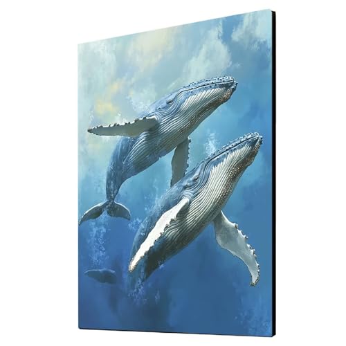 Malen Nach Zahlen Erwachsene Wal DIY Set Erwachsene mit Leinwand zum Bemalen Tier 135 x 100 CM 36 Farben Acrylfarben Set und Pinsel, Malen Nach Zahlen Kinder für Deko Wohnzimmer Geschenke 2YH-7130 Malen Nach Zahlen Erwachsene Wal DIY Set Erwachsene mit Leinwand zum Bemalen Tier 135 x 100 CM 36 Farben Acrylfarben Set und Pinsel, Malen Nach Zahlen Kinder für Deko Wohnzimmer Geschenke 2YH-7130 von Generic
