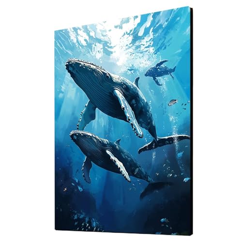Malen Nach Zahlen Erwachsene Wal DIY Set Erwachsene mit Leinwand zum Bemalen Tier 40 x 30CM 36 Farben Acrylfarben Set und Pinsel, Malen Nach Zahlen Kinder für Deko Wohnzimmer Geschenke 2YH-6482 von Generic