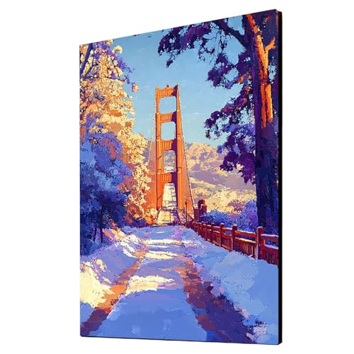 Malen Nach Zahlen Erwachsene Winter DIY Set Erwachsene mit Leinwand zum Bemalen Golden Gate Bridge 80 x 60cm 36 Farben Acrylfarben Set und Pinsel, Malen Nach Zahlen Kinder für Deko Wohnzimmer 2YH-2026 Malen Nach Zahlen Erwachsene Winter DIY Set Erwachsene mit Leinwand zum Bemalen Golden Gate Bridge 80 x 60cm 36 Farben Acrylfarben Set und Pinsel, Malen Nach Zahlen Kinder für Deko Wohnzimmer 2YH-2026 von Generic