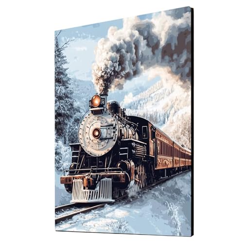 Malen Nach Zahlen Erwachsene Zug DIY Set Erwachsene mit Leinwand zum Bemalen Winter 70 x 50 CM 36 Farben Acrylfarben Set und Pinsel, Malen Nach Zahlen Kinder für Deko Wohnzimmer Geschenke 2YH-6605 von Generic