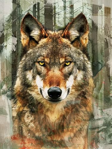 Malen Nach Zahlen Tier, Malen Nach Zahlen Erwachsene Wolf, DIY Paint by Numbers Kits Mit Pinseln und Acrylfarbe, DIY Basteln Erwachsene Handgemalt Ölgemälde, für Zimmer Deko, Geschenk, 50x70cm V-9890 von Generic