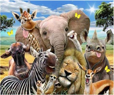 Malen nach Zahlen Erwachsene Lustige Tiere 40x50 cm Paint by Numbers DIY Öl Acryl Leinwand Bild Dekoration Funny Animals ohne Rahmen von MT Majami