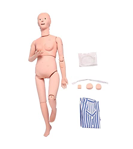 Manikin-Modell, Pflegefähigkeiten, Trainingsschaufensterpuppe, Lehrmodell, weiblich, 165 cm, Ganzkörperpflege-Patient, m von Generic