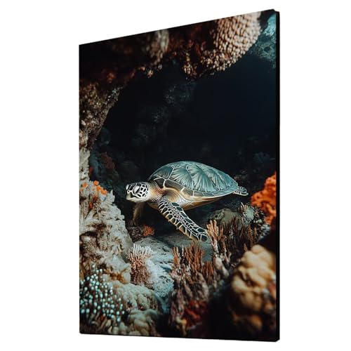 Meeresschildkröten Malen Nach Zahlen Erwachsene Tier Malen Nach Zahlen 100 x 135 cm DIY Basteln Erwachsene Klarheit Farbe Leinwan Bilder mit Acrylfarben Set 3 Typen Pinsel für Deko Wohnzimmer 2YH-5120 Meeresschildkröten Malen Nach Zahlen Erwachsene Tier Malen Nach Zahlen 100 x 135 cm DIY Basteln Erwachsene Klarheit Farbe Leinwan Bilder mit Acrylfarben Set 3 Typen Pinsel für Deko Wohnzimmer 2YH-5120 von Generic