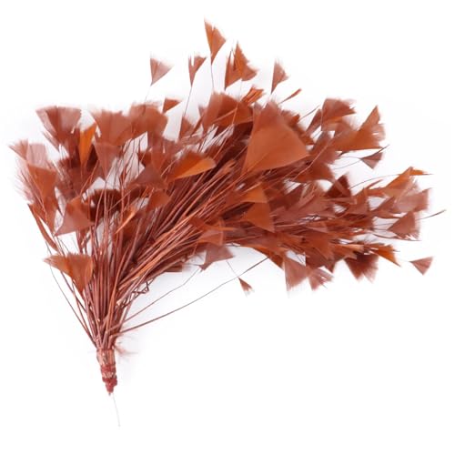 Mehrfarbige Gänsefedern, Blumenspitze, Coque, biegbare Feder, Basteln, Kopfschmuck, 25–30 cm, Kaffee, 25–30 cm Mehrfarbige Gänsefedern, Blumenspitze, Coque, biegbare Feder, Basteln, Kopfschmuck, 25–30 cm, Kaffee, 25–30 cm von Generic