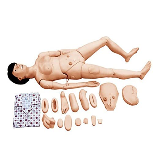Menschliches Modell, spezialisierte Patientenpflege, Modellpflege, 25 Arten von medizinischem Pflegetraining, Modellpupp von Generic