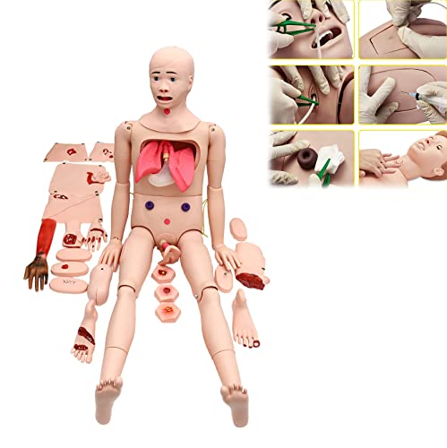 Menschliches Trauma-Pflegemodell, 170 cm, multifunktionales anatomisches menschliches Modell, fortgeschrittenes Trauma-T von Generic