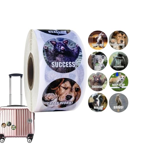 Motivierende Aufkleber für Kinder - Schüleraufkleber, 500 Stück / Rolle | Inspirierende Aufkleber für Kinder, Tiere Meme Aufkleber Pack Motivierende Aufkleber für Kinder - Schüleraufkleber, 500 Stück / Rolle | Inspirierende Aufkleber für Kinder, Tiere Meme Aufkleber Pack von Generic
