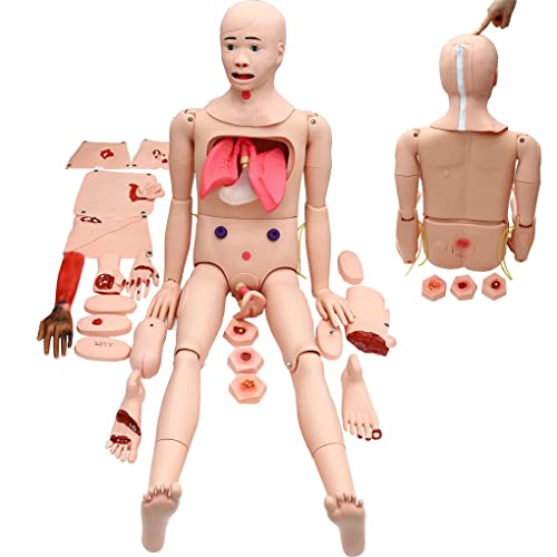 Multifunktionales Patientenpflegepuppen-Training 24 Wundmodule Pflege Anatomisches Menschenmodell Fortgeschrittenes Trau von Generic