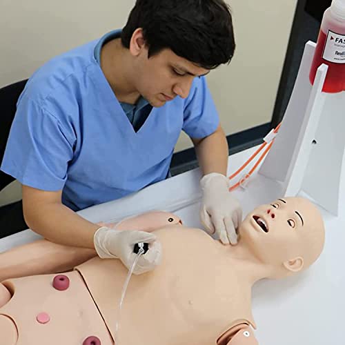 Multifunktionales anatomisches menschliches Modell für Fortgeschrittene, 170 cm, Erste-Hilfe-Training, Simulation, Brenn von Generic