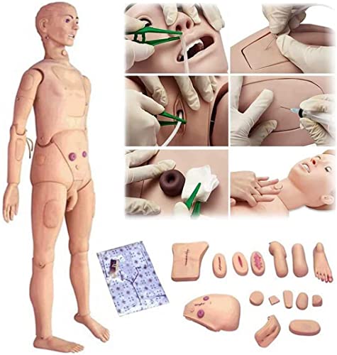 Multifunktionales weiblich-männliches Trainingspuppenmodell, Patientenversorgung, Traumamodell, Wundversorgungspuppe, Bi von Generic