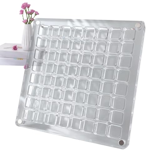 Muschel-Displaybox auf Edelsteinen – transparente magnetische Aufbewahrungsbox für Muscheln, Seesterne, Perlen und Edelsteine, Vitrinenregale Dekoration von Generic