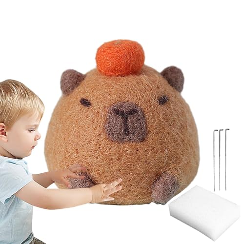 Nadelfilz-Set für Anfänger, Nadelfilz-Set für Anfänger – Nadelfilz aus Wolle, Nadelfilz-Set mit Filznadeln, Anleitung Nadelfilz-Set für Anfänger, Nadelfilz-Set für Anfänger – Nadelfilz aus Wolle, Nadelfilz-Set mit Filznadeln, Anleitung von Generic