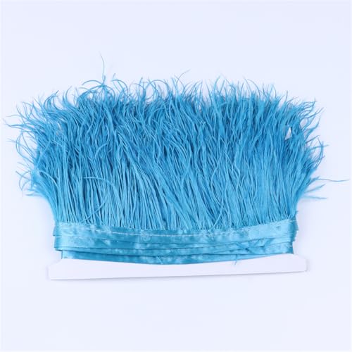 Natürlicher Straußenbesatz, Fransen, DIY, Dekoration, Kleid, Nähzubehör, gefärbte Federn zum Basteln, Seeblau, 10 m Natürlicher Straußenbesatz, Fransen, DIY, Dekoration, Kleid, Nähzubehör, gefärbte Federn zum Basteln, Seeblau, 10 m von Generic