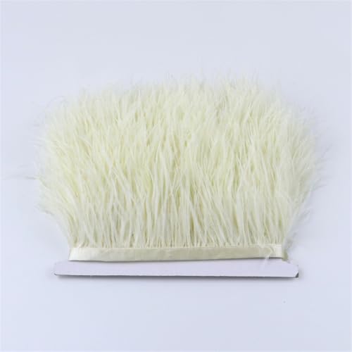 Natürliches Straußenfeder-Band, 9,1 m lang, Straußenfedern, Fransenborte für Partykleid, Nähzubehör, 018, Beige, 8-10 cm Breite Natürliches Straußenfeder-Band, 9,1 m lang, Straußenfedern, Fransenborte für Partykleid, Nähzubehör, 018, Beige, 8-10 cm Breite von Generic