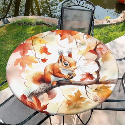 Outdoor Runde Tischdecke mit Gummizug Ø 52in(130cm) - Elastisch Garten tischdecke mit Eichhörnchen-Ahornblatt Muster von Generic