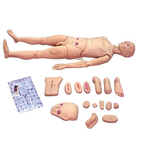 Patientenpflegepuppen-Trainingssimulation Menschliches, fortschrittliches, voll funktionsfähiges Pflegetrainingsmodell m von Generic