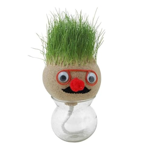 Pflanzen Gras-Puppenkopf – Garten-Blumentopf-Tasche, Graskopf-Haar-Wachstumsspielzeug | Eingetopfte wachsende Bonsai-Köpfe, kleine Topfornamente mit Kultivierungsmedium, Pflanzengartenspielzeug, Gesch von Generic